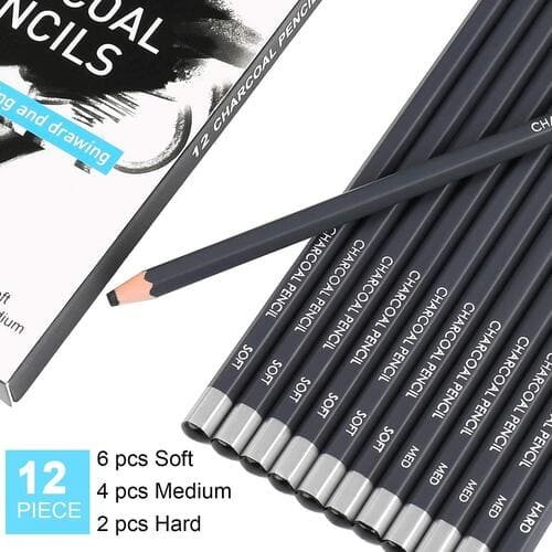 Professional Charcoal Pencils Drawing Set - 12 Pieces Soft Medium and Hard Charcoal Pencils for Drawing, Sketching, Shading, Artist Pencils for Beginners & Artists