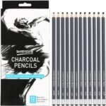 Professional Charcoal Pencils Drawing Set - 12 Pieces Soft Medium and Hard Charcoal Pencils for Drawing, Sketching, Shading, Artist Pencils for Beginners & Artists