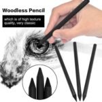 Woodless Charcoal Pencils Set