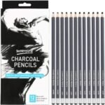 Professional Charcoal Pencils Drawing Set - 12 Pieces Soft Medium and Hard Charcoal Pencils for Drawing, Sketching, Shading, Artist Pencils for Beginners & Artists Professional Charcoal Pencils Drawing Set - 12 Pieces Soft Medium and Hard Charcoal Pencils for Drawing, Sketching, Shading, Artist Pencils for Beginners & Artists
