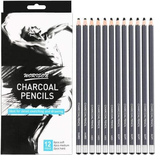 Professional Charcoal Pencils Drawing Set - 12 Pieces Soft Medium and Hard Charcoal Pencils for Drawing, Sketching, Shading, Artist Pencils for Beginners & Artists